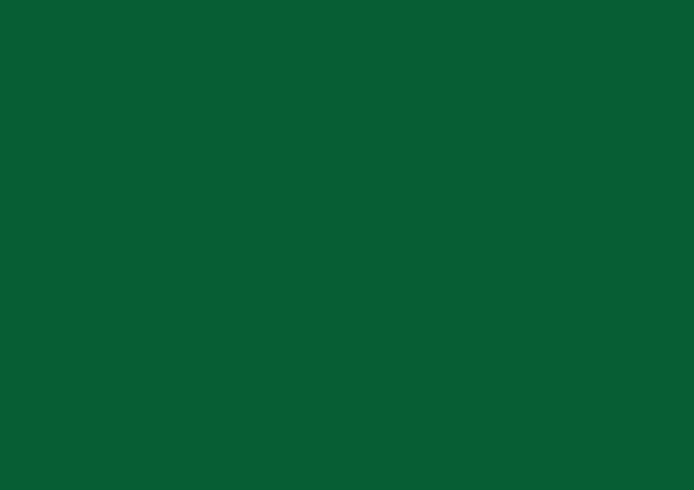Green ELCSA-51